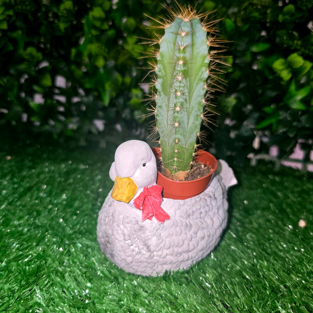 Decorative Duck Planter – Garden & Home Ornament