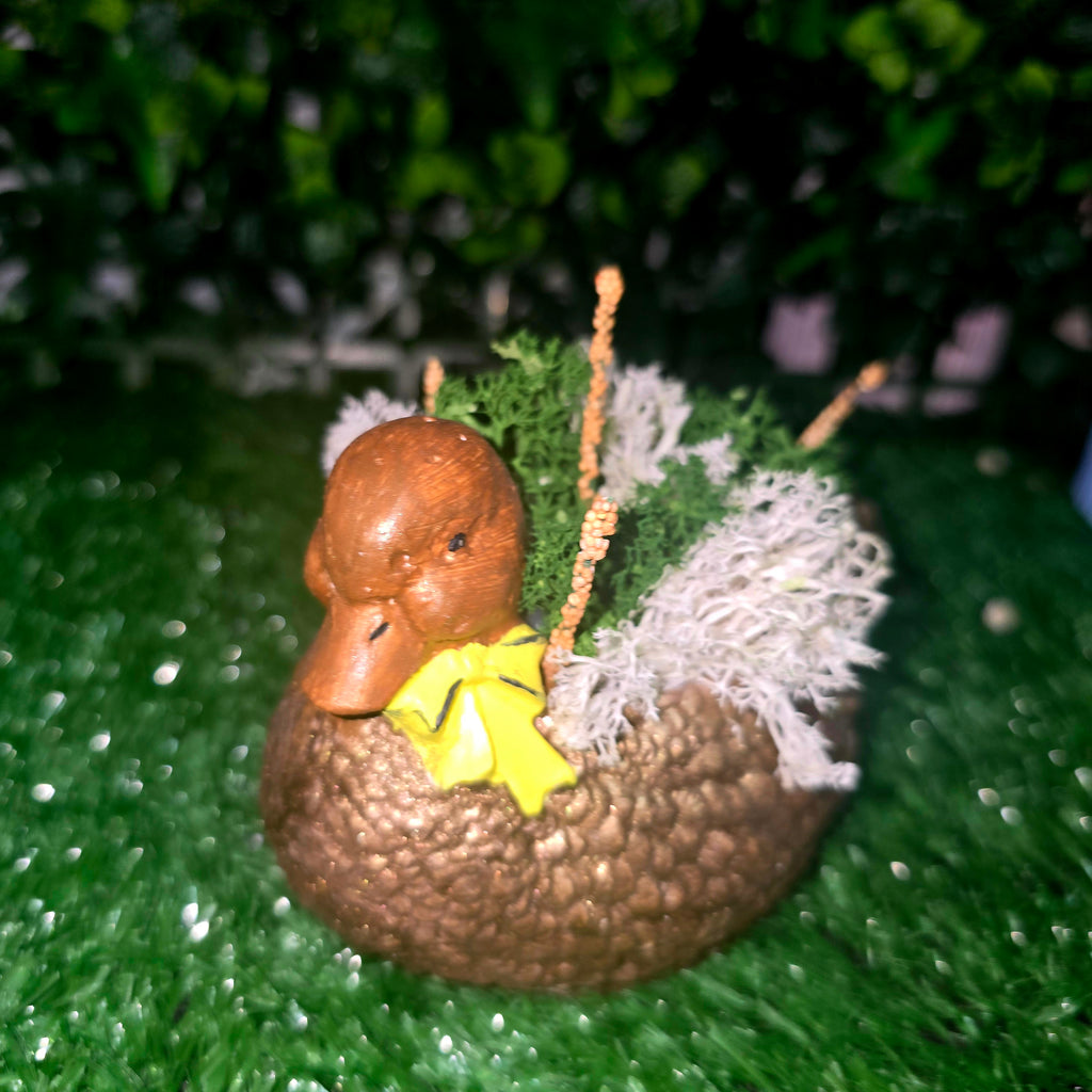 Decorative Duck Planter – Garden & Home Ornament