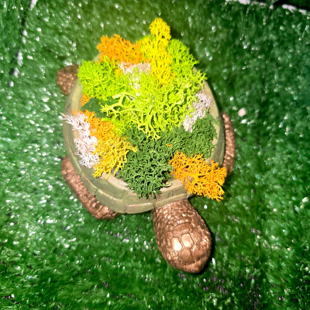 Handmade Concrete Turtle Planter with Natural Scandinavian Moss