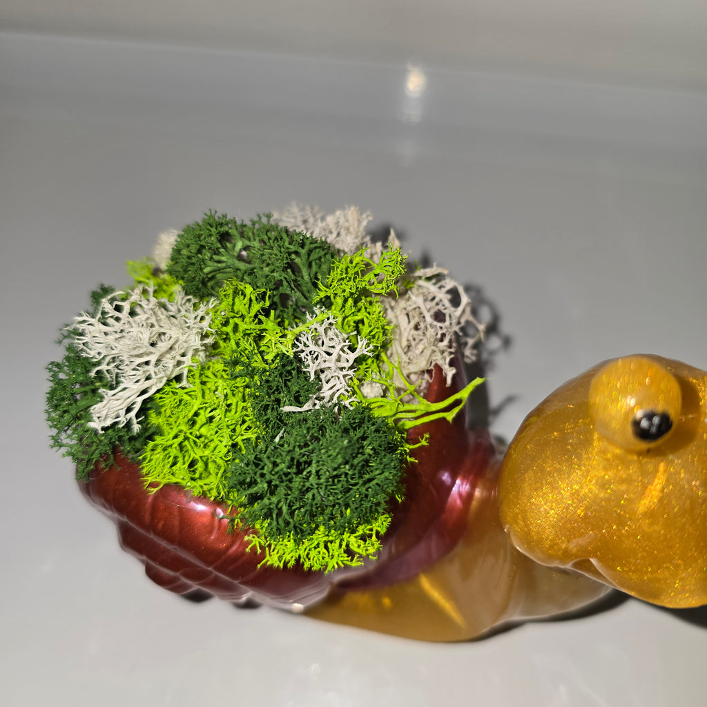 Handmade Resin Snail Decor with Natural Scandinavian Moss – Unique Home Accent (13 × 15 cm)