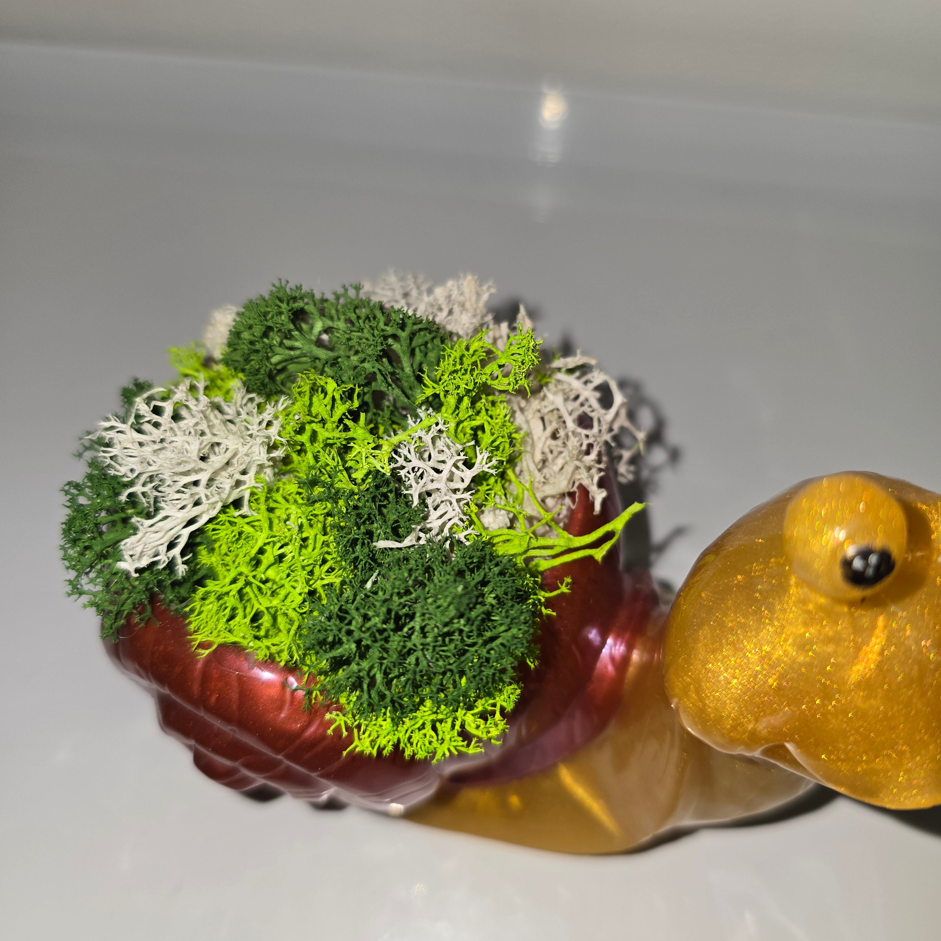 Handmade Resin Snail Decor with Natural Scandinavian Moss – Unique Home Accent (13 × 15 cm)