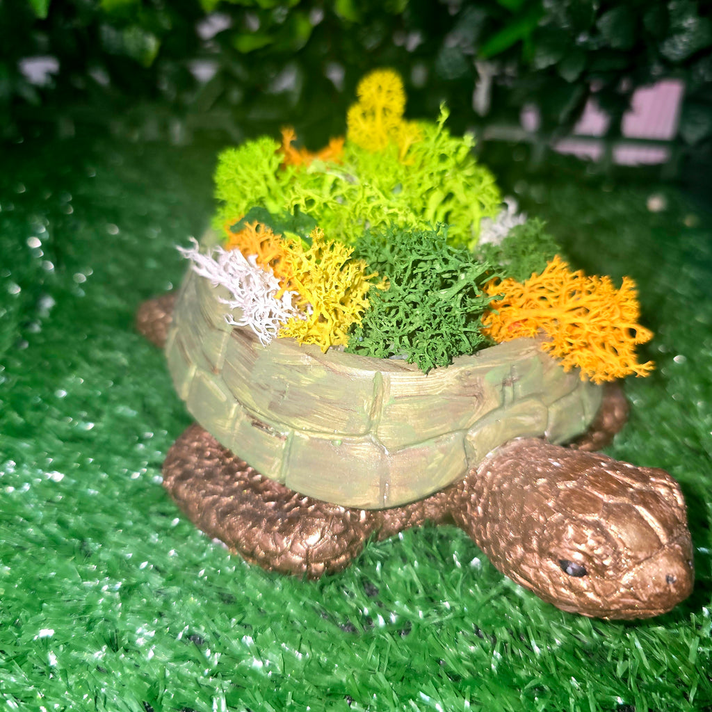 Handmade Concrete Turtle Planter with Natural Scandinavian Moss