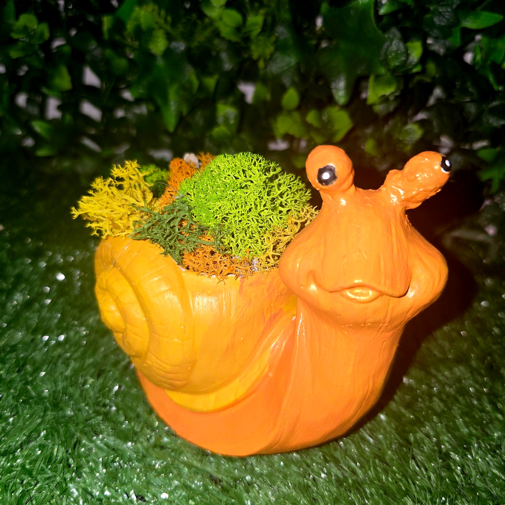 Handmade Cement Snail Planter with Natural Scandinavian Moss