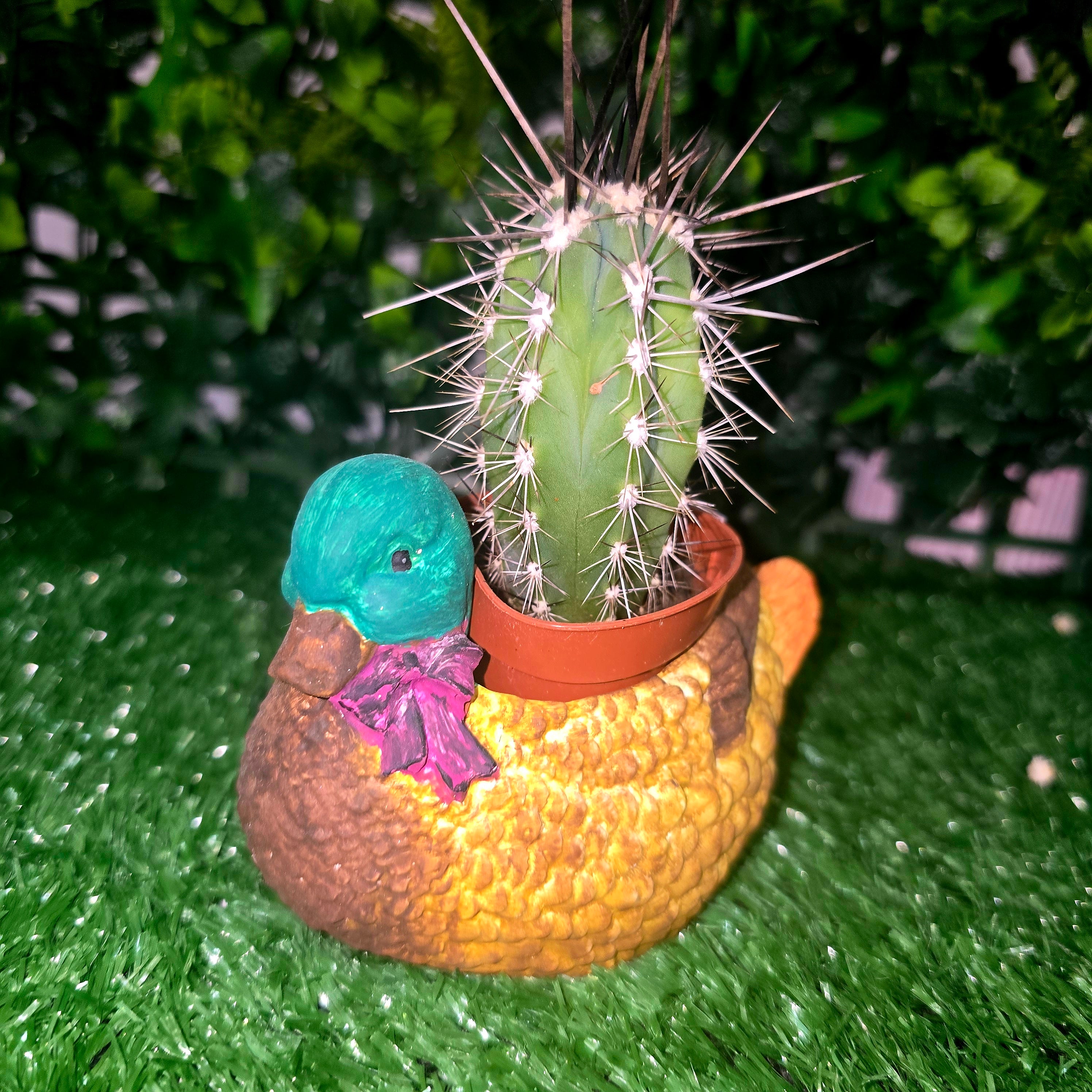 Decorative Duck Planter – Garden & Home Ornament