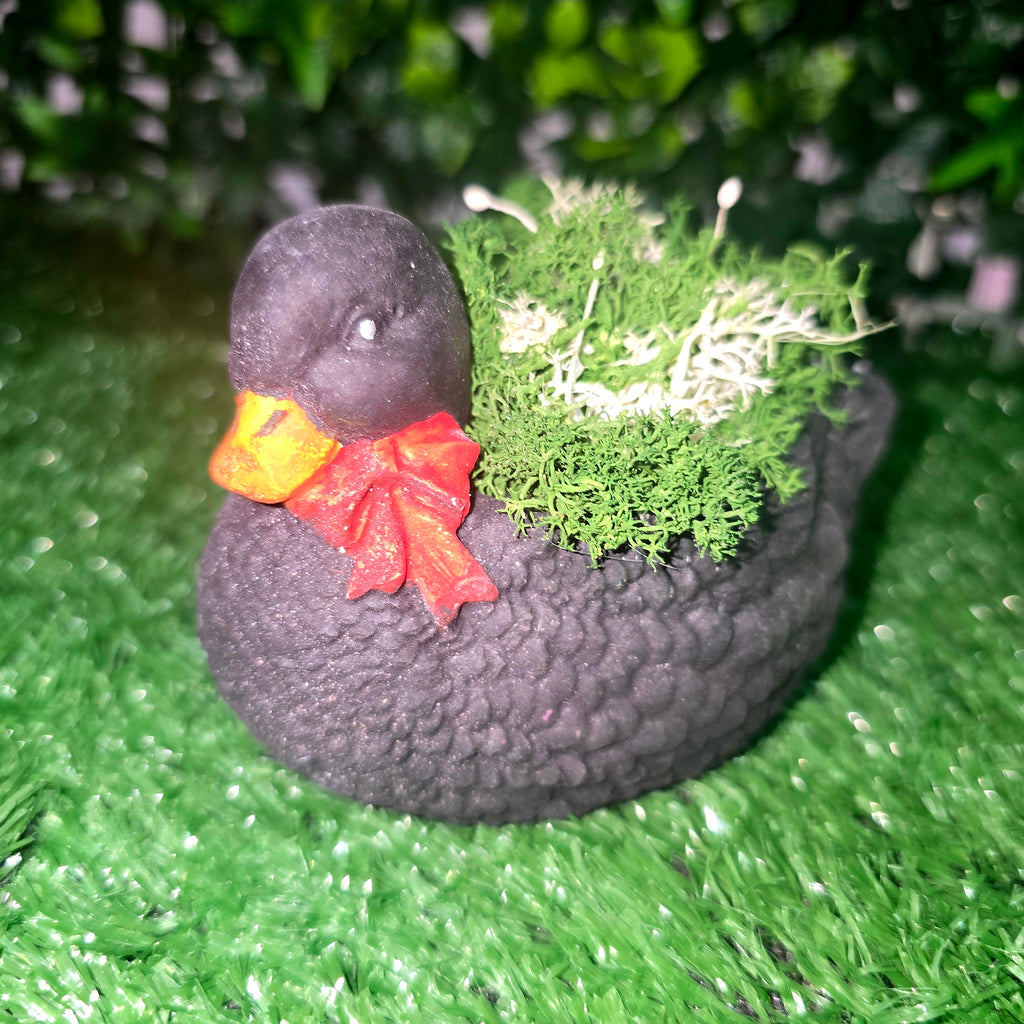 Decorative Duck Planter – Garden & Home Ornament