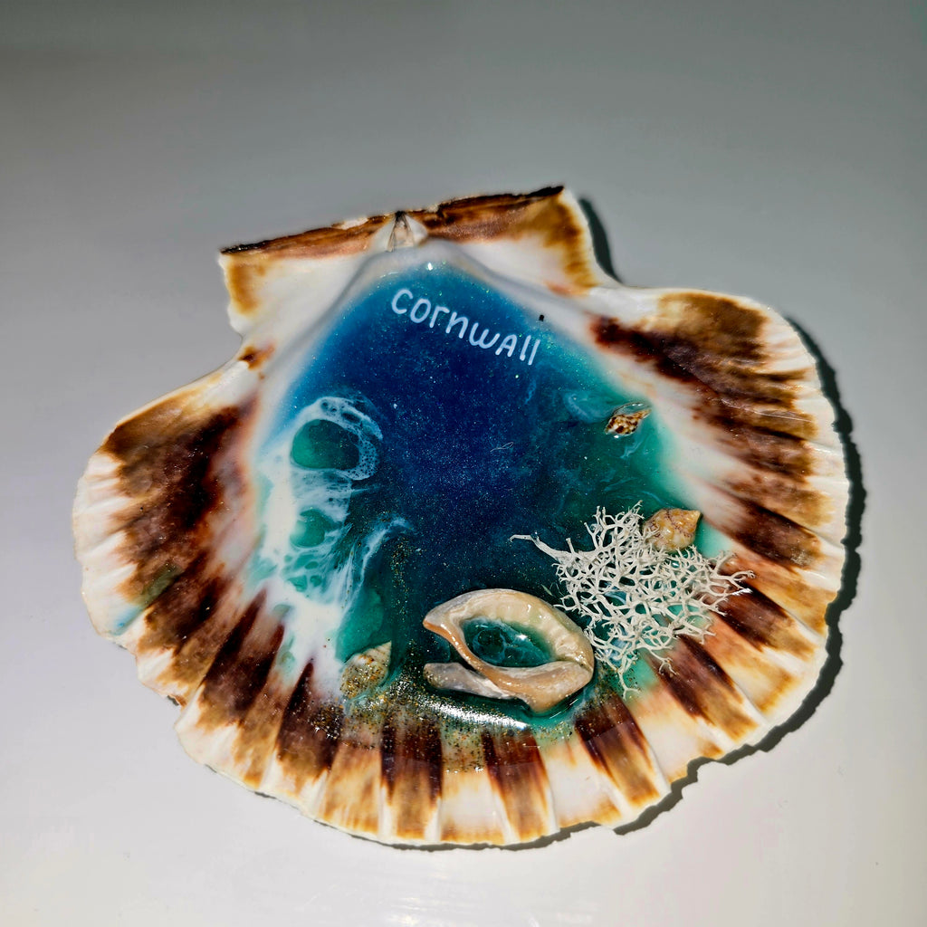 Handmade Resin Seashell Decor – Coastal Theme (8–10 cm)