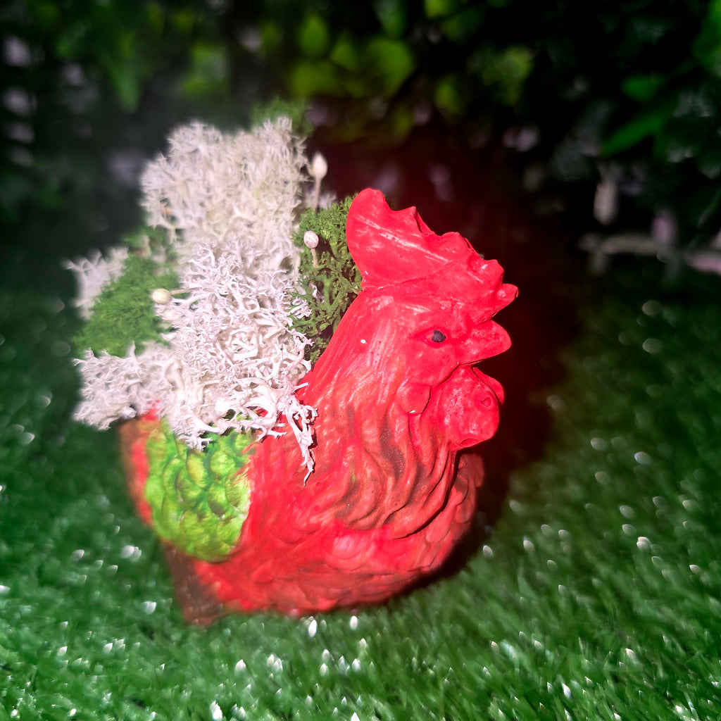 Handmade Concrete Rooster Planter with Natural Scandinavian Moss