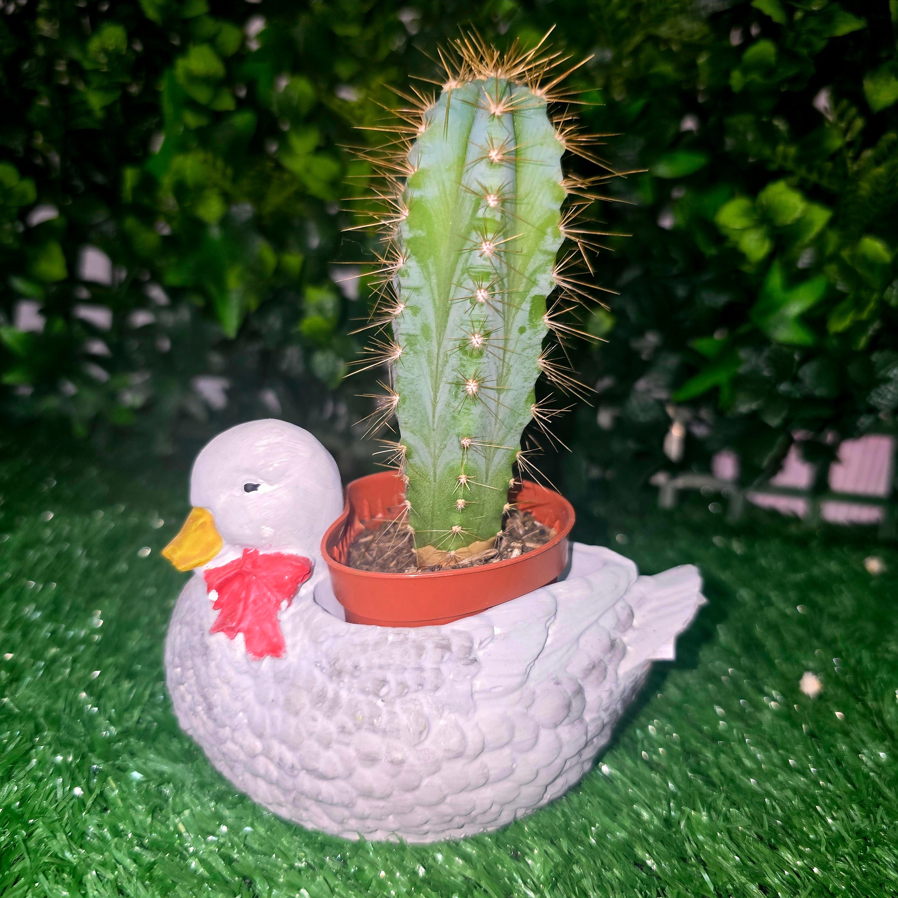 Decorative Duck Planter – Garden & Home Ornament