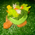 Handmade Concrete Turtle Planter with Natural Scandinavian Moss
