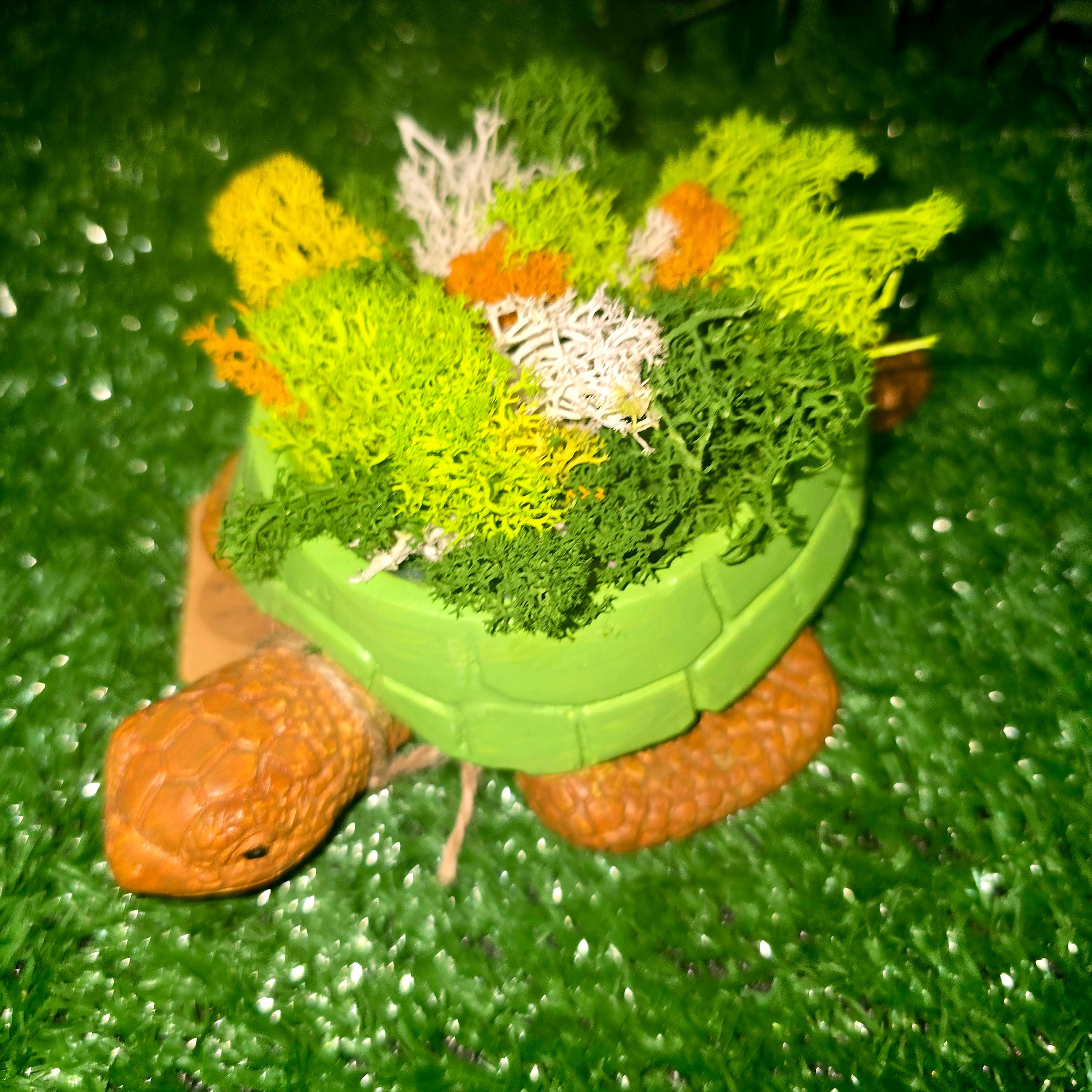 Handmade Concrete Turtle Planter with Natural Scandinavian Moss