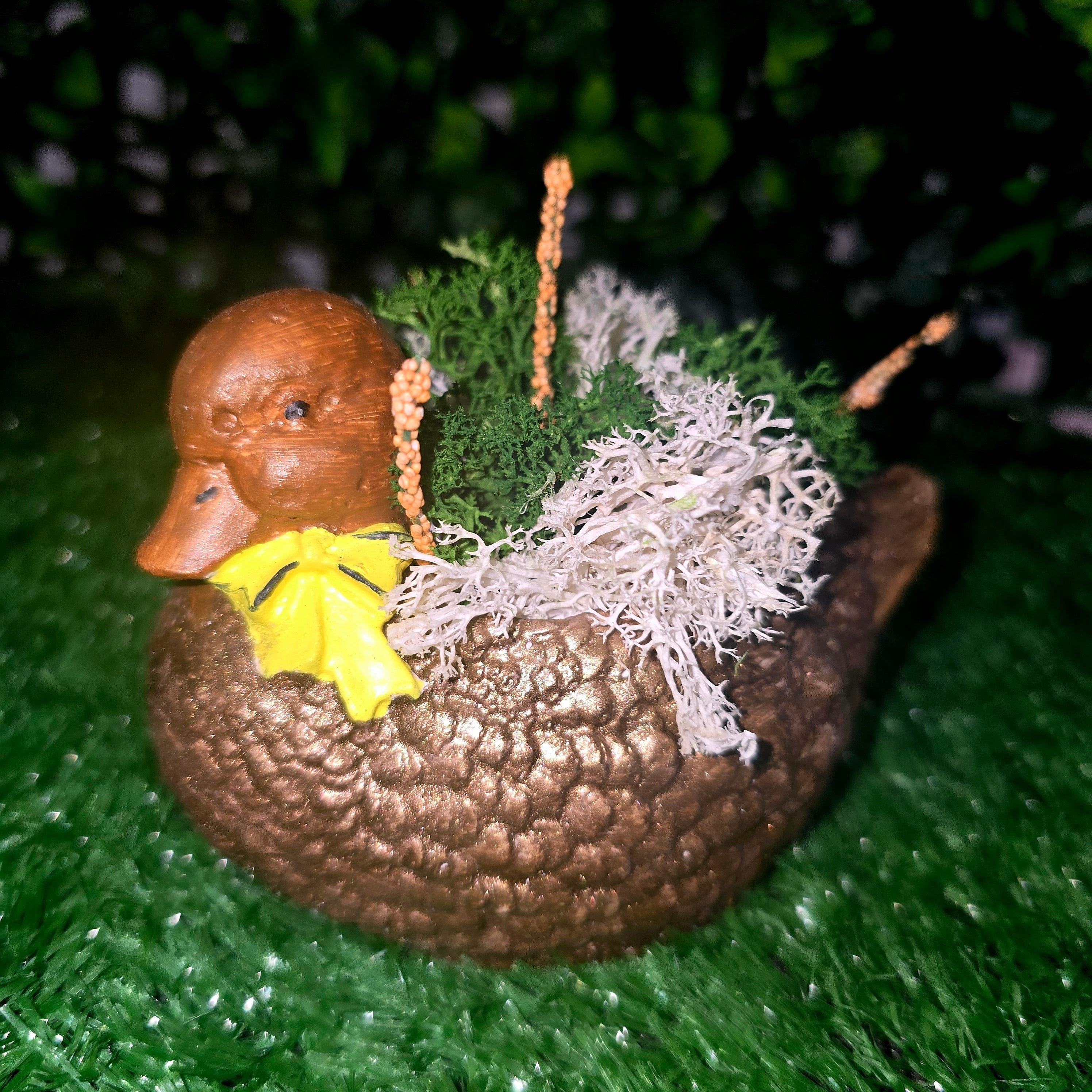 Decorative Duck Planter – Garden & Home Ornament