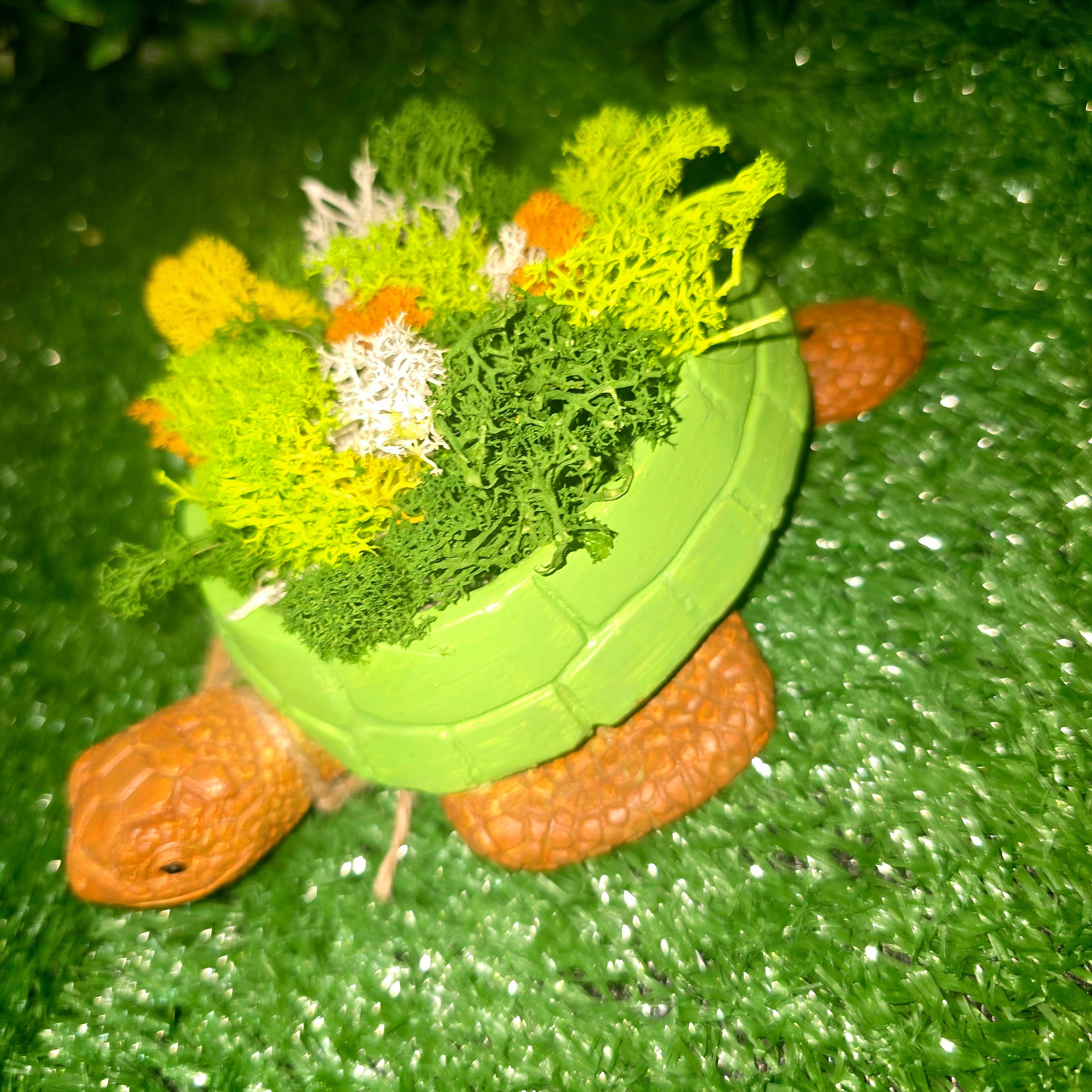 Handmade Concrete Turtle Planter with Natural Scandinavian Moss