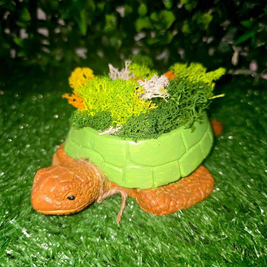 Handmade Concrete Turtle Planter with Natural Scandinavian Moss
