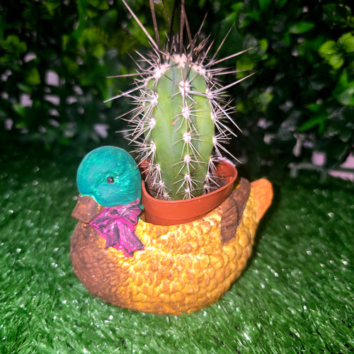 Decorative Duck Planter – Garden & Home Ornament